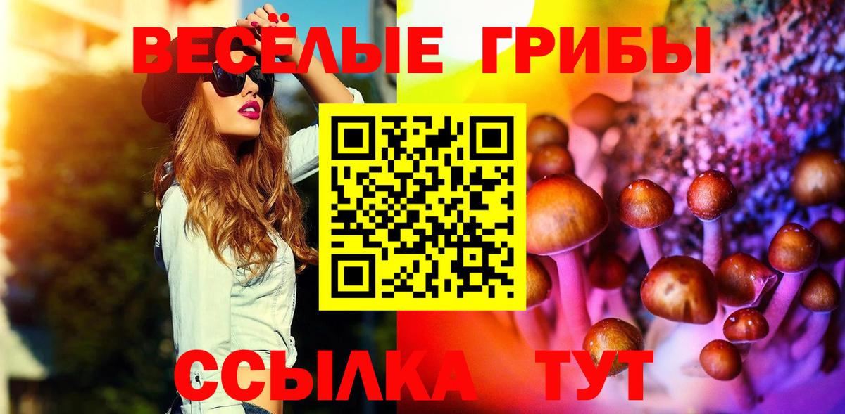 Псилоцибиновые грибы Magic Shrooms Асино